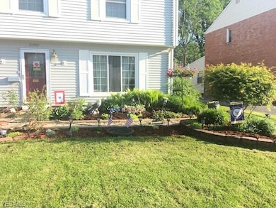 Springtime planters!  All plants are perennials, e