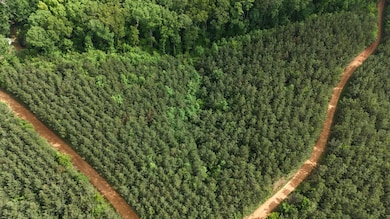 0 0 Cr 323 & Cr 310, Iuka, MS 38852 - photo 2