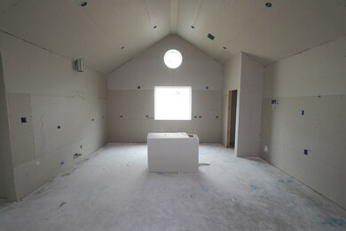 Gourmet island kitchen - still under construction!