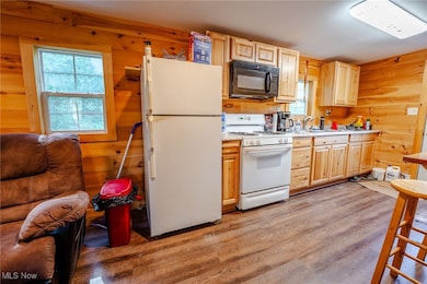 37245 T 346, Middleport, OH 45760 - photo 6