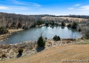 1990 Schultz Cir, Edwards, MO 65326 - photo 6