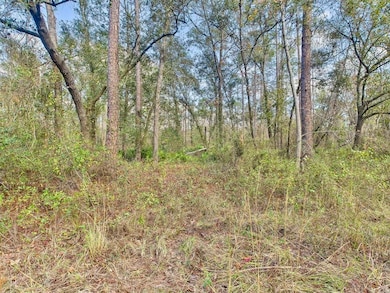 465 NE River Ridge Way, Lee, FL 32059 - photo 3