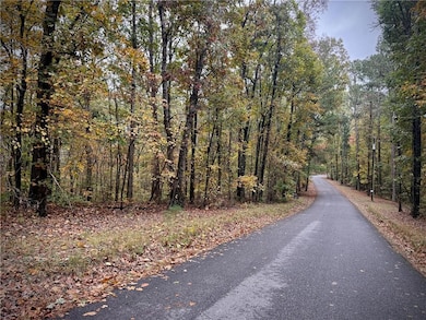 551 Harvey Fields Rd, Canton, GA 30114 - photo 4