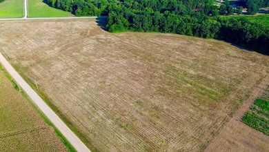 0000 Highway 41, Paragould, AR 72450 - photo 6