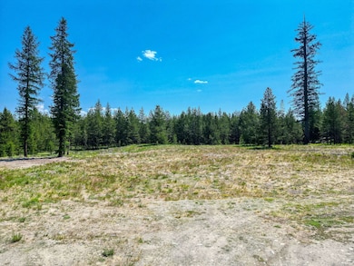 443 McGregor Meadows Rd W, Marion, MT 59925 - photo 5