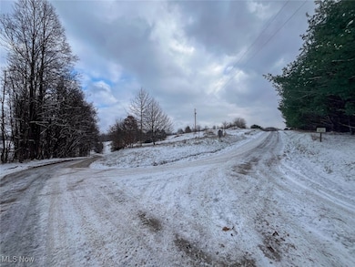 87085 Crall Rd, Scio, OH 43988 - photo 7