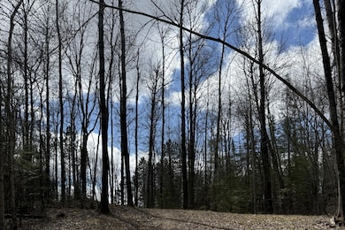 1899 Amik Lake Ln, Lac Du Flambu, WI 54538 - photo 7