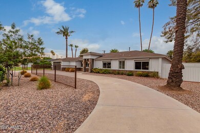 03-Camelback