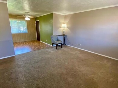 image4 (11)