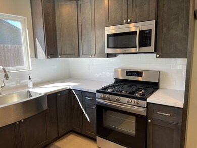 Pic3