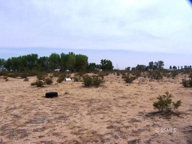 352-390-14 Jujube, Inyokern, CA 93527 - photo 5