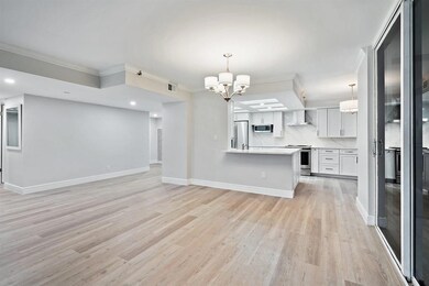 Liv.rm/kitchen/foyer