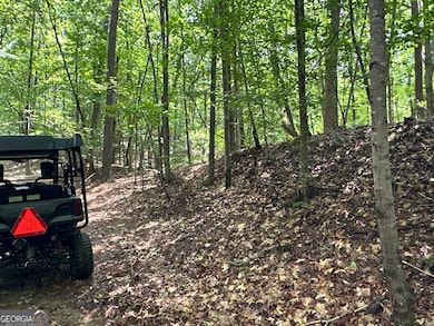 0 Super Deluxe Rd unit 10594088, Rockmart, GA 30153 - photo 4