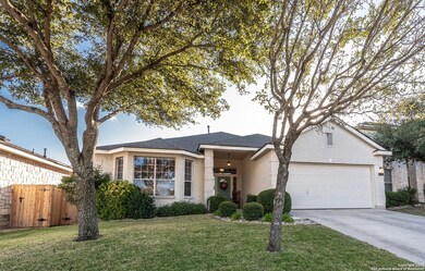 24419 Alamosa Falls, San Antonio, TX 78255 - photo 2