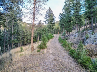 26779 Fern Gulch Rd, Evergreen, CO 80439 - photo 3