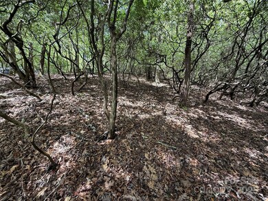 TBD Tellico Trail unit 42/22, Brevard, NC 28712 - photo 4