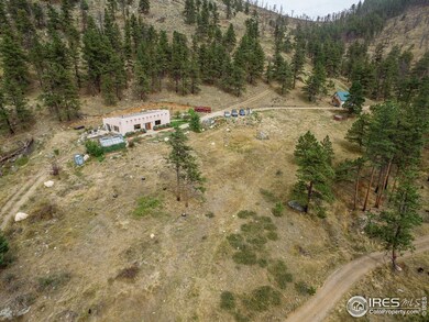 692 Raspberry Gulch Rd, Bellvue, CO 80512 - photo 4