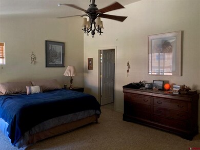 457 Animas View Dr unit 10, Durango, CO 81301 - photo 5