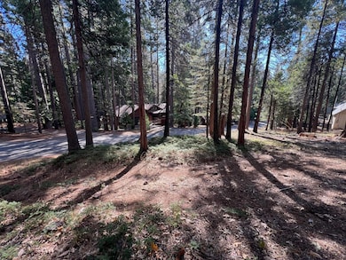 646 Dean Way, Arnold, CA 95223 - photo 7