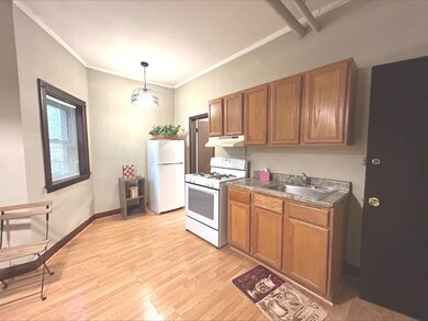 6048 N Washtenaw Ave unit GDN, Chicago, IL 60659 - photo 2