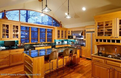 835 E Cooper Ave unit 4, Aspen, CO 81611 - photo 2