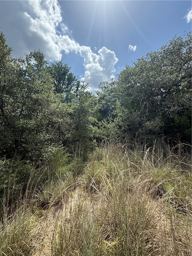 1163 Sugar Hill Rd, Caldwell, TX 77836 - photo 6