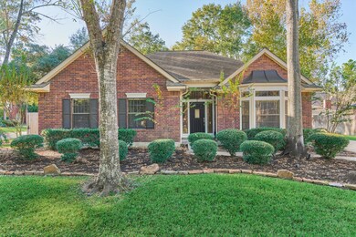 3 Amber Sky Place, Spring, TX 77381 - photo 4