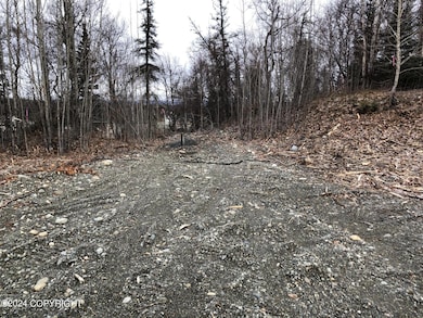 9701 E Palmer-Wasilla Hwy, Palmer, AK 99645 - photo 4