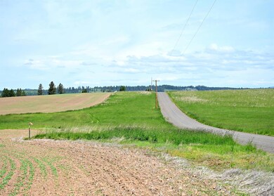 TBD Stuart Rd, Orofino, ID 83544 - photo 6