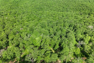 Lot 76 Restore Ridge, Harrison, AR 72601 - photo 7