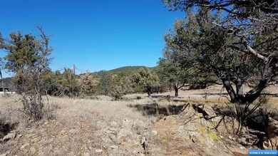 45 Vesuvius Way, Silver City, NM 88061 - photo 6