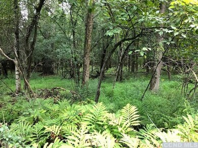 0 Sleepy Hollow Rd unit 122550, Coxsackie, NY 12051 - photo 2