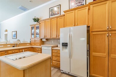 35841 Midden Path, Zephyrhills, FL 33541 - photo 6