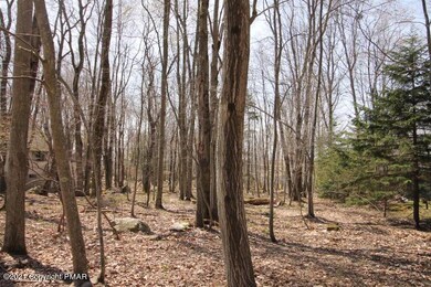 6 Paiute Path, Pocono Lake, PA 18347 - photo 5