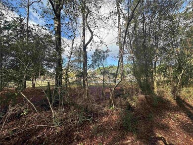 0 Patterson Rd unit 7690565, Robertsdale, AL 36567 - photo 6