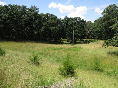 10.65/AC N Hwy Jay Tract 4, Centralia, MO 65240 - photo 3
