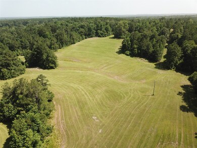 00 Dorsey Rd, Milam, TX 75959 - photo 7