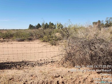 View of undeveloped land