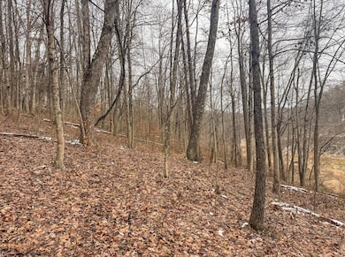 Lot 1 State Fork Rd, Metz, WV 26585 - photo 7