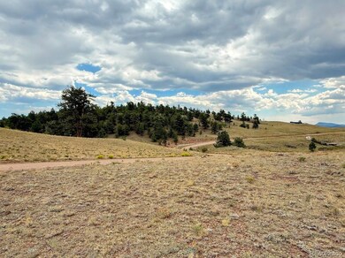 0 Cherokee Trail unit REC6368935, Hartsel, CO 80449 - photo 3
