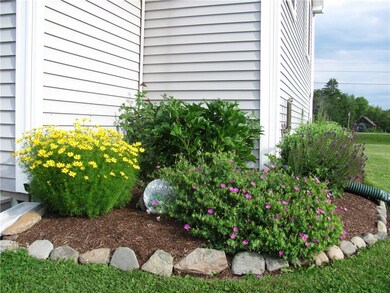 Blooms you can expect to see in the...