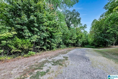 6722 Wesson Cir unit 4, Pinson, AL 35126 - photo 4