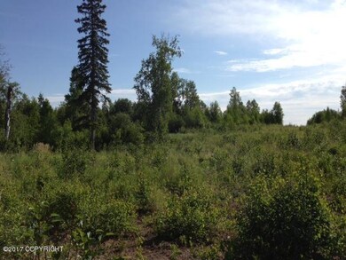 photo(3)