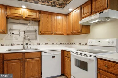 8075 Brightwood Ct, Ellicott City, MD 21043 - photo 6