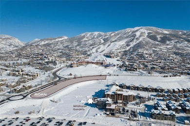 1531 Broomtail Ln unit F3, Steamboat Springs, CO 80487 - photo 4
