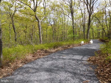 31 Pine Point Dr, Maysville, WV 26833 - photo 7