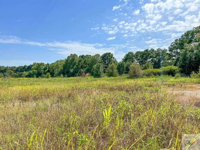 0 Terry St, Texarkana, TX 75501 - photo 3