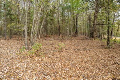 2815 Fm 346, Tyler, TX 75703 - photo 6