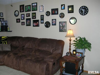 2222 W 55th St, Davenport, IA 52806 - photo 5