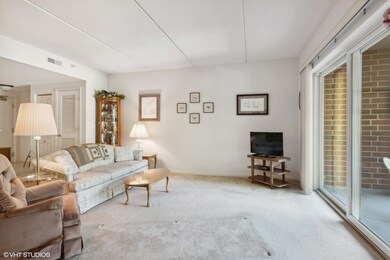 111 N Larch Ave unit 208, Elmhurst, IL 60126 - photo 4